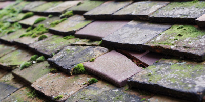 Lilleshall roof repair costs